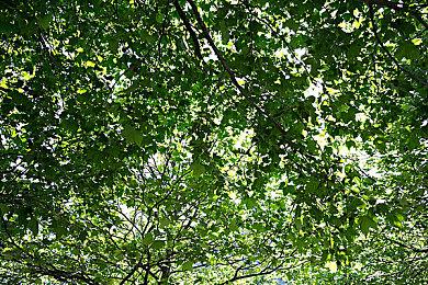 游戏发售22年后《喋血街头2：VR》公布 开放添加愿望单