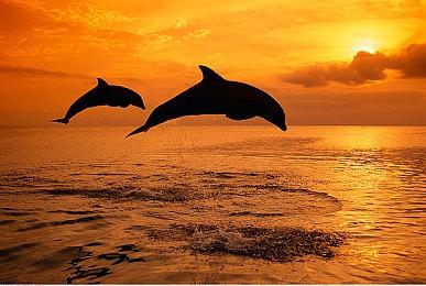 《最后的生还者》差点有个DLC 讲述艾莉妈妈的故事